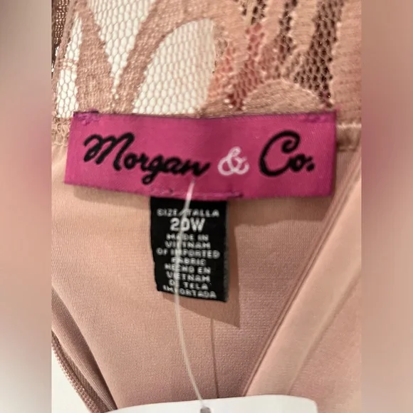 Morgan and co. Dress in beige size 20W. - Picture 6 of 6